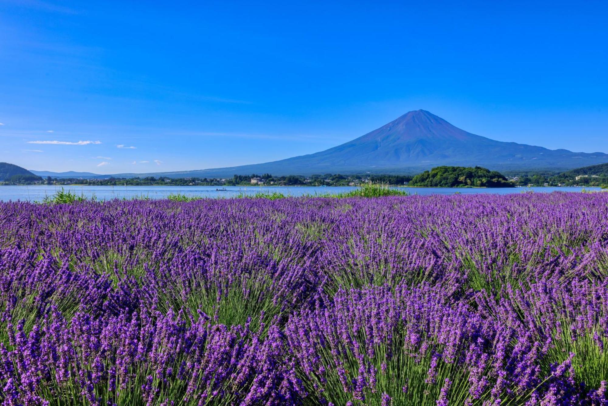 グランファーム富士河口湖 Granfarm Fujikawaguchiko Exterior foto